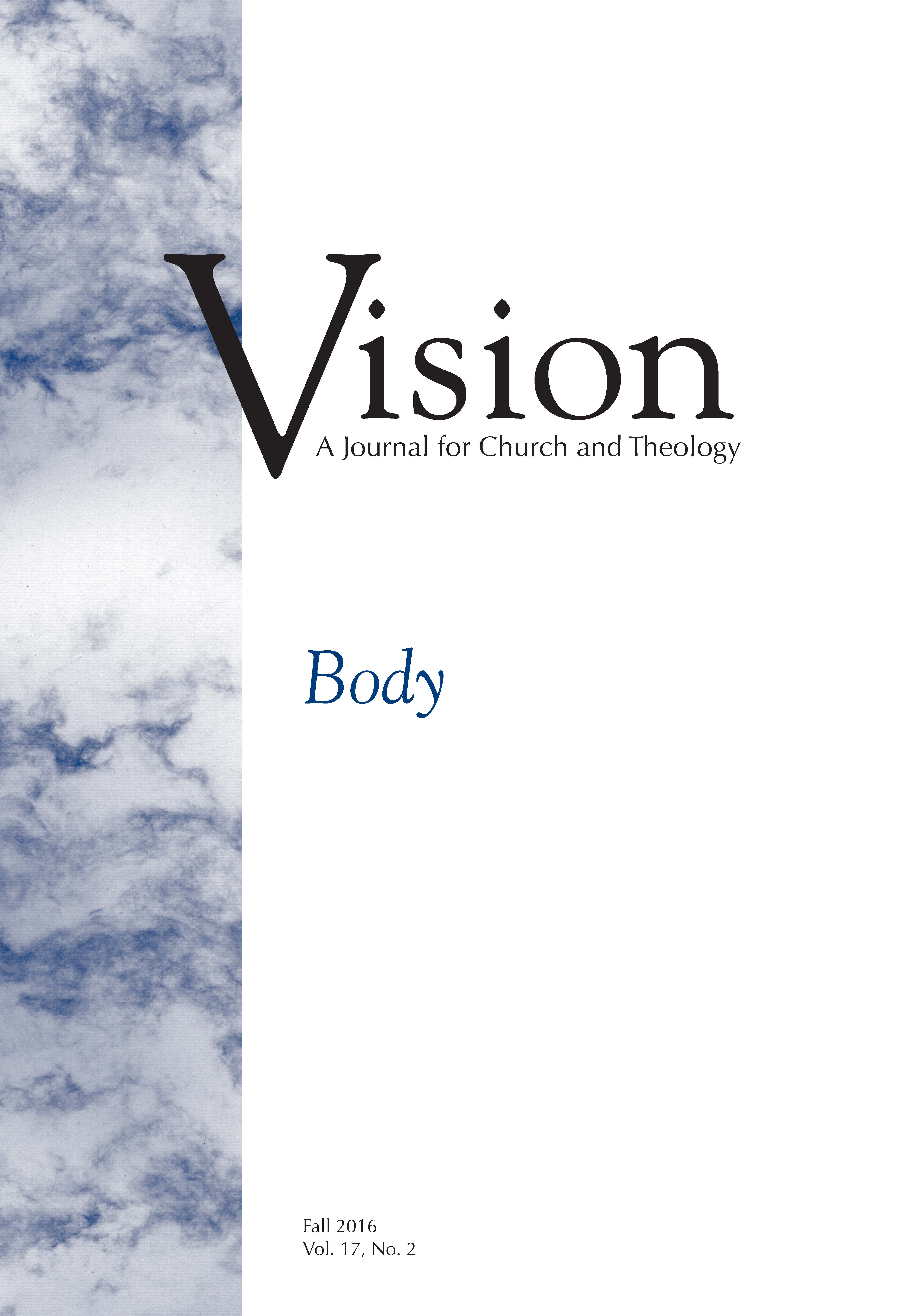 vision cover body